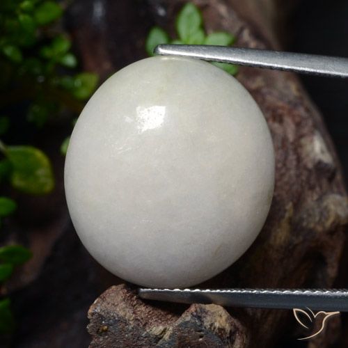 Giadeite Ovale cabochon da 24,23 ct dal Myanmar, dimensione 19,1 x 17,4mm, purezza Translucent, pietra preziosa naturale non trattati, Giadeite 1pc in colore Grigio molto chiaro, durezza Mohs di 6 - 6,5, Photo A