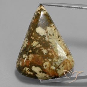 50.54ct Natural Multicolor Jasper, Fancy, Opaque