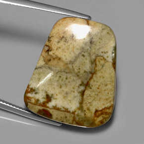 33.84 ct Multicolor Jasper Stone, Natural Jasper in Fancy Cabochon Shape for Sale