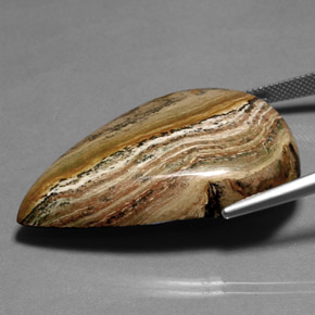 Jasper Gemstone in 40.7 x 27.8 mm Size for Sale, Jasper Stone in Multicolor Color