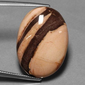 27.00 ct Multicolor Jasper Stone, Natural Jasper in Oval Cabochon Shape for Sale