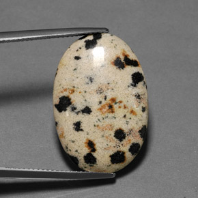 12.82 ct Multicolor Jasper Stone, Natural Jasper in Oval Cabochon Shape for Sale