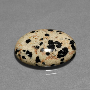 14.11 ct Multicolor Jasper Gemstone, Jasper Gem in Oval Cabochon Shape for Sale.