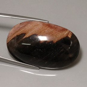 60.69 ct Multicolor Jasper Stone, Natural Jasper in Oval Cabochon Shape for Sale