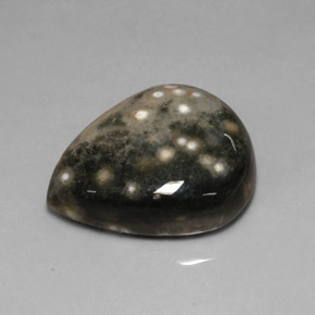 24.92 ct Multicolor Jasper Gemstone, Jasper Gem in Pear Cabochon Shape for Sale.