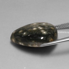 Jasper Gemstone in 23.1 x 19.5 mm Size for Sale, Jasper Stone in Multicolor Color