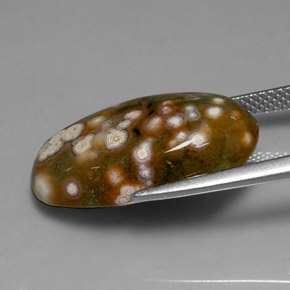 Jasper Gemstone in 21.6 x 11.2 mm Size for Sale, Jasper Stone in Multicolor Color