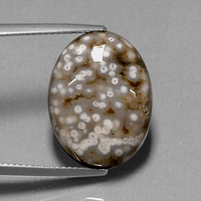 13.68 ct Multicolor Jasper Stone, Natural Jasper in Oval Cabochon Shape for Sale