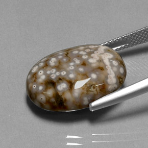 Jasper Gemstone in 18.9 x 14.3 mm Size for Sale, Jasper Stone in Multicolor Color