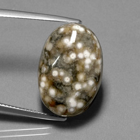 17.44 ct Multicolor Jasper Stone, Natural Jasper in Oval Cabochon Shape for Sale