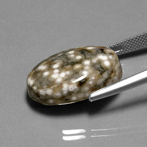 Jasper Gemstone in 21.1 x 14.4 mm Size for Sale, Jasper Stone in Multicolor Color