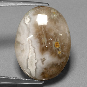 14.72 ct Multicolor Jasper Gemstone, Jasper Gem in Oval Cabochon Shape for Sale.
