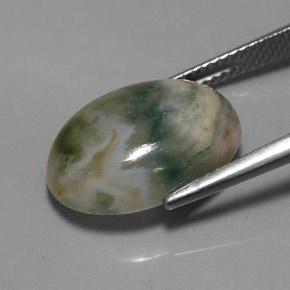 Jasper Gemstone in 16.7 x 12.3 mm Size for Sale, Jasper Stone in Multicolor Color