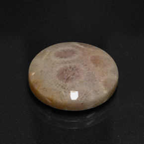 12.45 ct Multicolor Jasper Gemstone, Jasper Gem in Round Cabochon Shape for Sale.