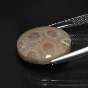 Jasper Gemstone in 17.6 mm Size for Sale, Jasper Stone in Multicolor Color