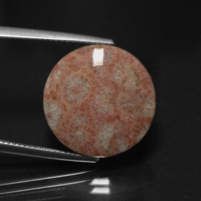 11.73 ct Multicolor Jasper Gemstone, Jasper Gem in Round Cabochon Shape for Sale.