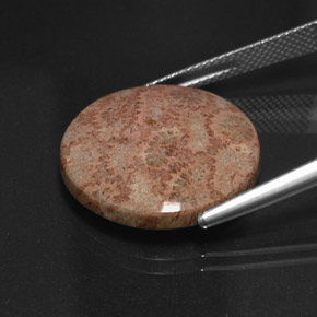 13.65 ct Multicolor Jasper Gemstone, Jasper Gem in Round Cabochon Shape for Sale.