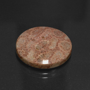 13.65 ct Multicolor Jasper Stone, Natural Jasper in Round Cabochon Shape for Sale