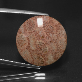 Jasper Gemstone in 19.7 mm Size for Sale, Jasper Stone in Multicolor Color