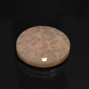 10.99 ct Multicolor Jasper Gemstone, Jasper Gem in Round Cabochon Shape for Sale.