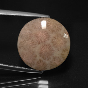 10.99 ct Multicolor Jasper Stone, Natural Jasper in Round Cabochon Shape for Sale