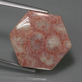 13.39 ct Multicolor Jasper Gemstone, Jasper Gem in Hexagon Cabochon Shape for Sale.