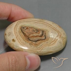 Jasper Gemstone in 50.2 x 37.3 mm Size for Sale, Jasper Stone in Multicolor Color