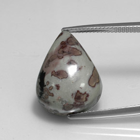 15.1ct Pear Cabochon Multicolor Jasper Gem for sale 15.1ct Pear Cabochon Multicolor Jasper Gem (ID: 346838)
