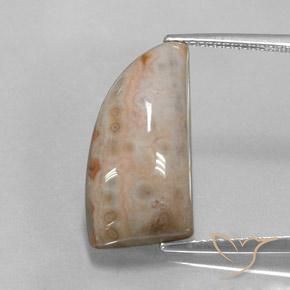 12.74ct Natural Multicolor Jasper, Fancy, Opaque