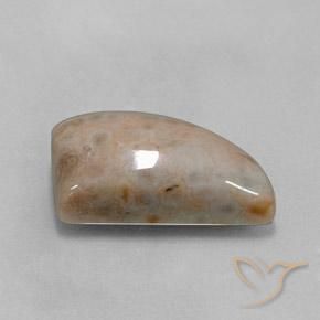 12.74 ct Multicolor Jasper Stone, Natural Jasper in Shark Fin Cabochon Shape for Sale