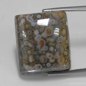 23.65 ct Multicolor Jasper Gemstone, Jasper Gem in Square Cabochon Shape for Sale.