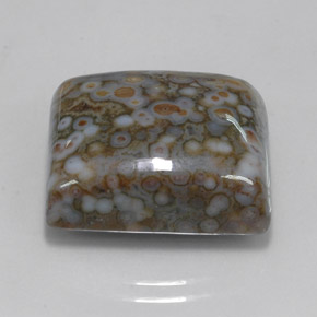 23.65 ct Multicolor Jasper Stone, Natural Jasper in Square Cabochon Shape for Sale