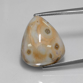 15.02 ct Multicolor Jasper Gemstone, Jasper Gem in Pear Cabochon Shape for Sale.