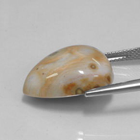 Jasper Gemstone in 18.9 x 16 mm Size for Sale, Jasper Stone in Multicolor Color