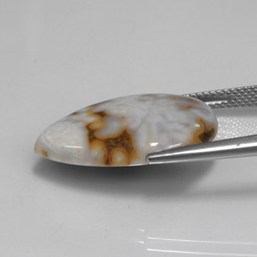 Jasper Gemstone in 22.5 x 16.7 mm Size for Sale, Jasper Stone in Multicolor Color