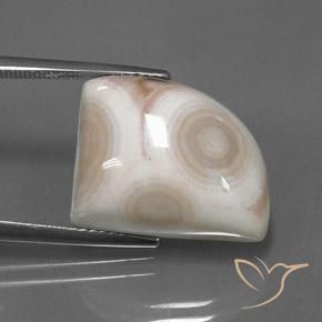 14.17 ct Multicolor Jasper Stone, Natural Jasper in Shark Fin Cabochon Shape for Sale