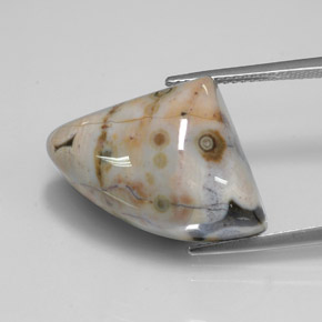 21.44 ct Multicolor Jasper Gemstone, Jasper Gem in Fancy Cabochon Shape for Sale.