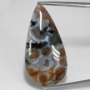 22.85 ct Multicolor Jasper Gemstone, Jasper Gem in Pear Cabochon Shape for Sale.