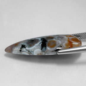 Jasper Gemstone in 34.4 x 17.5 mm Size for Sale, Jasper Stone in Multicolor Color