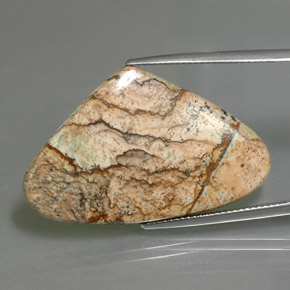 18.86 ct Multicolor Jasper Gemstone, Jasper Gem in Pear Cabochon Shape for Sale.