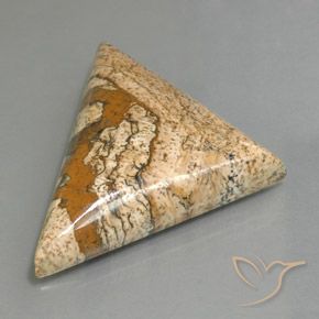 53.88 ct Multicolor Jasper Stone, Natural Jasper in Trillion Cabochon Shape for Sale