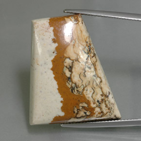 37.65 ct Multicolor Jasper Gemstone, Jasper Gem in Trapezoid Cabochon Shape for Sale.