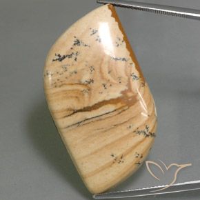 45.75 قيراط فانسي جاسبر ، <cite dir="ltr" lang="en">37.2 x 22.5</cite> ملم من إندونيسيا, Photo A