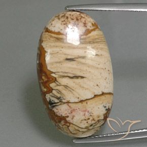 18.14ct Natural Multicolor Jasper, Oval, Opaque