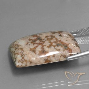 Jasper Gemstone in 31.1 x 23.7 mm Size for Sale, Jasper Stone in Multicolor Color