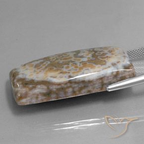 Jasper Gemstone in 37.4 x 18.8 mm Size for Sale, Jasper Stone in Multicolor Color