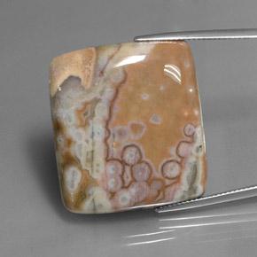 Multicolor Jasper Gem - 46.1ct Square Cabochon (ID: 348256)