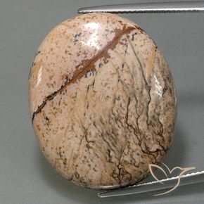 44.28ct Natural Multicolor Jasper, Oval, Opaque