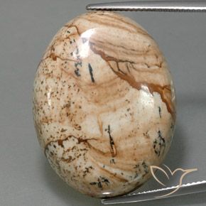 44.54ct Natural Multicolor Jasper, Oval, Opaque