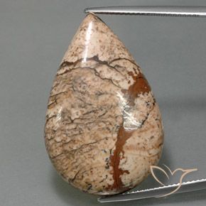 36.58ct Natural Multicolor Jasper, Pear Shape, Opaque